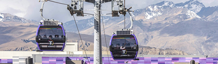 Linea Morada